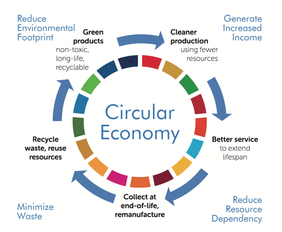 Managing Sustainability and The Circular Economy